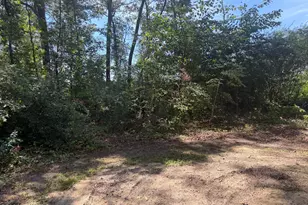 314 Factory St, Tarboro, NC 27886 - Photo 4