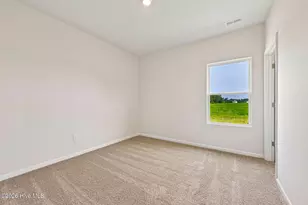 107 Franklin Lndg Dr, Pikeville, NC 27863 - Photo 22