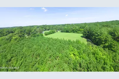 107 Ray Farmer Road, Aulander, NC 27805 - Photo 44