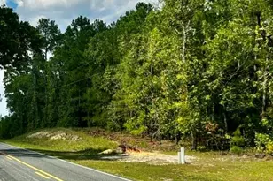 6842 Burney Rd, White Oak, NC 28399 - Photo 36
