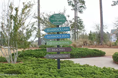 1215 Lillibridge Drive, Leland, NC 28451 - Photo 64