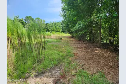 306 Howards Landing Road, Hampstead, NC 28443 - Photo 4