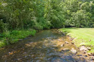 314 Carringer Rd, Robbinsville, NC 28771 - Photo 40