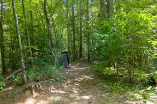 314 Carringer Rd, Robbinsville, NC 28771 - Photo 42