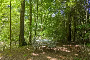 314 Carringer Rd, Robbinsville, NC 28771 - Photo 44