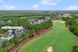 3227 Moss Hammock Wynd, Southport, NC 28461 - Photo 2