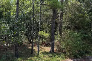 2861 Robin Dr SW, Shallotte, NC 28470 - Photo 1
