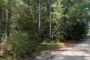 2865 Robin Dr SW, Shallotte, NC 28470 - Photo 1