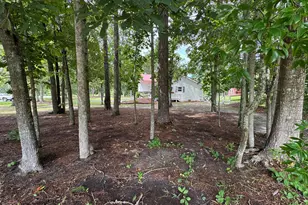 118 Oakwood Dr, Havelock, NC 28532 - Photo 8