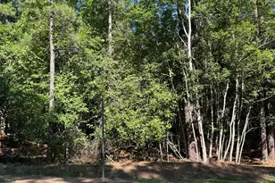 7657 Main St, West End, NC 27376 - Photo 1