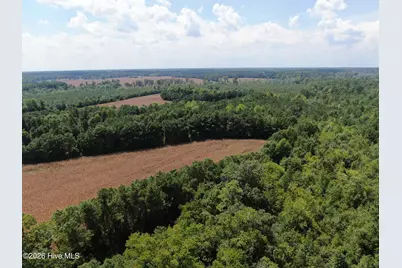 Tbd Pleasant Hope Road, Fairmont, NC 28340 - Photo 14