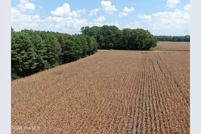 Tbd Pleasant Hope Road, Fairmont, NC 28340 - Photo 16