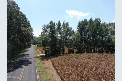 Tbd Nc 41, Fairmont, NC 28340 - Photo 4