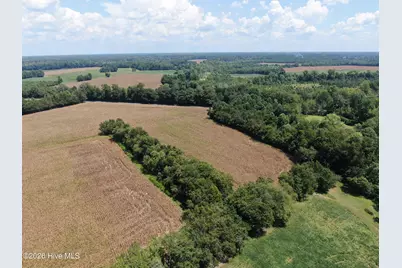 Tbd Nc 41, Fairmont, NC 28340 - Photo 14