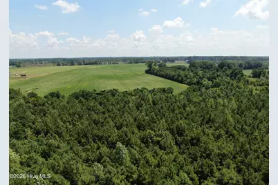 Tbd Fairgrove Road, Fairmont, NC 28340 - Photo 12