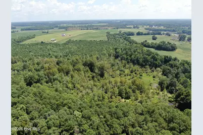 Tbd Fairgrove Road, Fairmont, NC 28340 - Photo 8