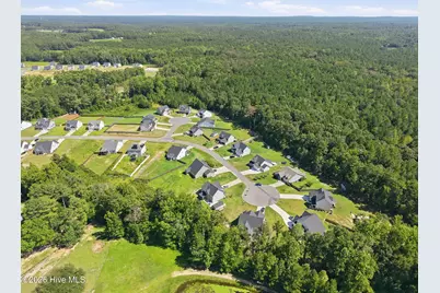 233 Forester Drive, Vass, NC 28394 - Photo 4