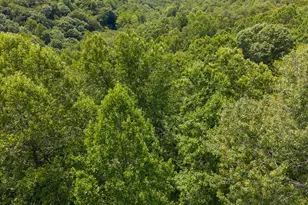 240 Mountain Laurel Dr, Bryson City, NC 28713 - Photo 72