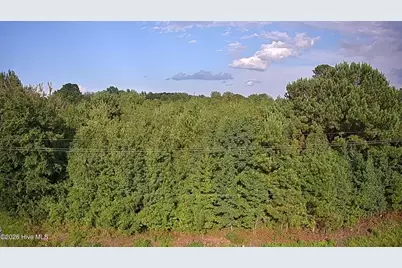 00 Near 1008 N Brown Street, Chadbourn, NC 28431 - Photo 2