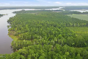 301 Seawell Farm Rd, Bayboro, NC 28515 - Photo 40
