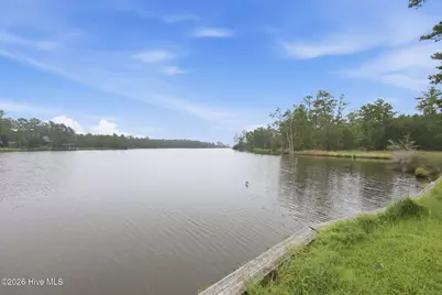 301 Seawell Farm Road, Bayboro, NC 28515 - Photo 28