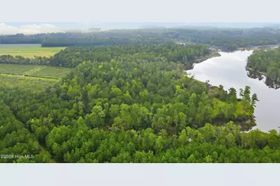 301 Seawell Farm Road, Bayboro, NC 28515 - Photo 36
