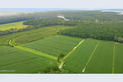 301 Seawell Farm Road, Bayboro, NC 28515 - Photo 44