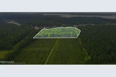 301 Seawell Farm Road, Bayboro, NC 28515 - Photo 10