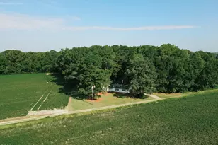 424 Dail Rd, Grimesland, NC 27837 - Photo 2
