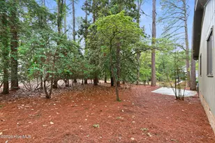 215 Merion Cir, Pinehurst, NC 28374 - Photo 34