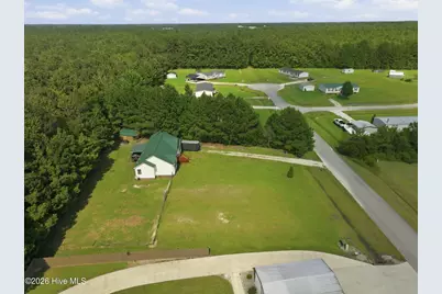 111 Bradham Drive, Beulaville, NC 28518 - Photo 28