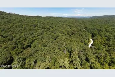158 Red Oak Forest Lane, Murphy, NC 28906 - Photo 54
