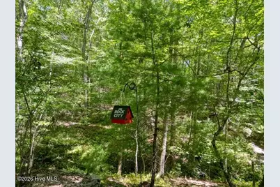 158 Red Oak Forest Lane, Murphy, NC 28906 - Photo 36