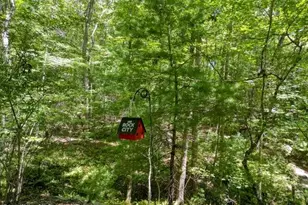 158 Red Oak Frst Ln, Murphy, NC 28906 - Photo 36