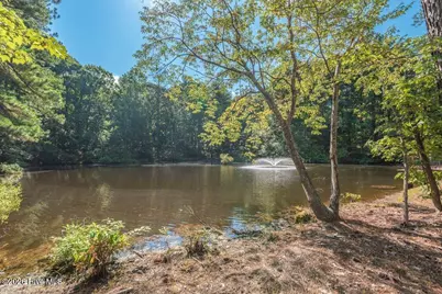 1597 Mercier Road, Lincolnton, GA 30817 - Photo 44