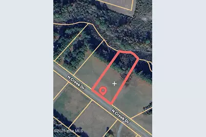 5 N Creek Drive, Belhaven, NC 27810 - Photo 4