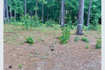 103 Haddington Drive, Pinehurst, NC 28374 - Photo 12