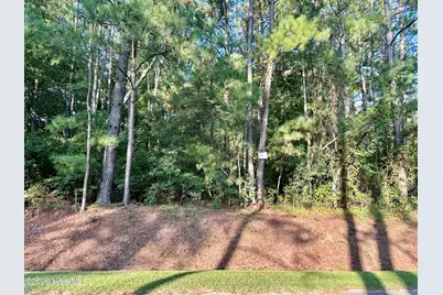 Tbd Stokes Road, Rockingham, NC 28379 - Photo 1