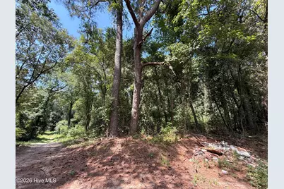 Lot 1A Holland Road, Greenville, NC 27834 - Photo 2