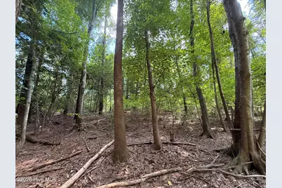 Lot 1A Holland Road, Greenville, NC 27834 - Photo 4