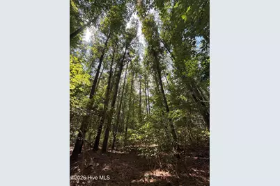 Lot 1A Holland Road, Greenville, NC 27834 - Photo 6