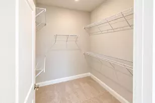 4169 Yellow Flag Iris St, Leland, NC 28479 - Photo 8