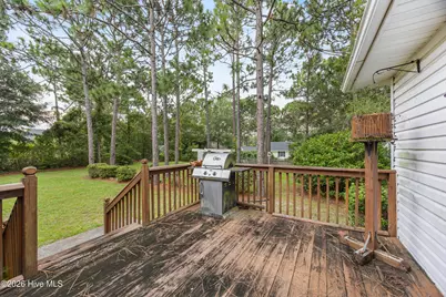 124 Maypop Lane, Wilmington, NC 28412 - Photo 38