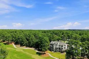 240 Cochrane Castle Circle, Pinehurst, NC 28374 - Photo 46