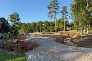 203 Course Vw, McCormick, SC 29835 - Photo 4