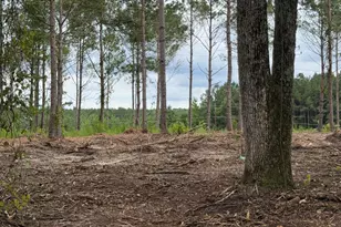 Tbd/Lot 4 Elmore, Laurinburg, NC 28352 - Photo 1