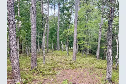671 Plantation Parkway, Oriental, NC 28571 - Photo 4