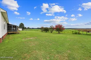 993 Aspen Ridge Ct, Deep Run, NC 28525 - Photo 12