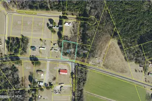 1120 Zion Hill Church Rd, Bladenboro, NC 28320 - Photo 28