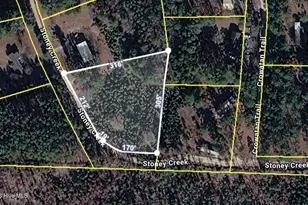 1 42 Acres Stoney Creek Dr, Carthage, NC 28327 - Photo 1